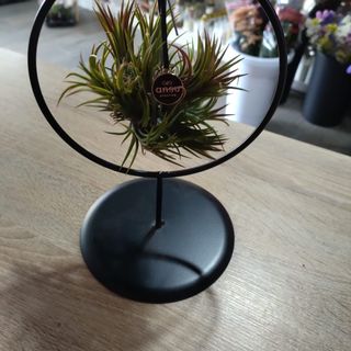 planta aerea no suporte