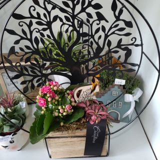 plantas em arvore vida