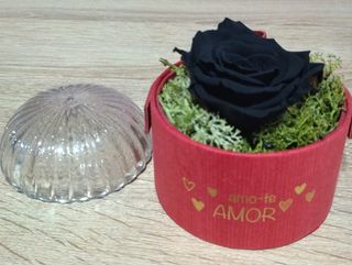 rosa preservada negra