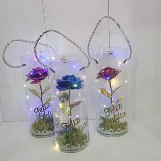 Rosa com LED