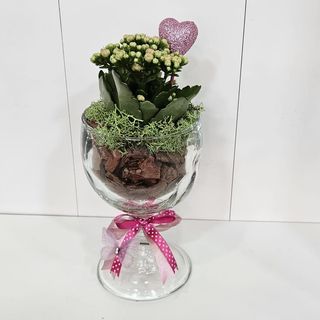 Kalanchoe em taça de vidro