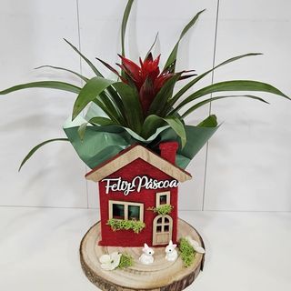 Planta natural em casinha com rodela de madeira