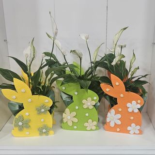 Coelho com Lirio da Paz