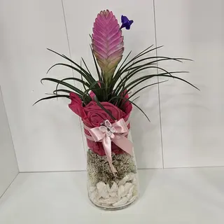 Tillandsia em jarra de vidro