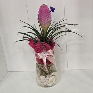 Tillandsia em jarra de vidro