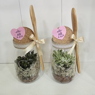 Pote de vidro com planta natural