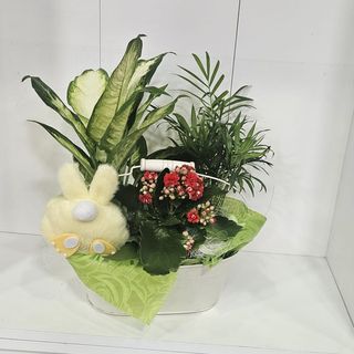 Latinha com plantas naturais