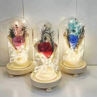 Rosa preservada em campânula com luz LED