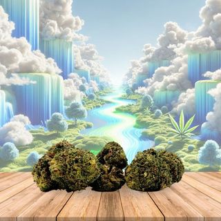 Flor de 10-OH, White Widow Premium Strong 50%, 3g