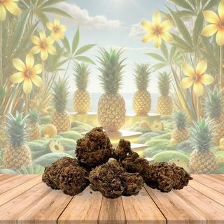 Flor de CBD Pineapple 15GR