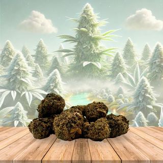Flor de Cbd White Widow 15GR