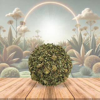 Trim de CBD 20GR