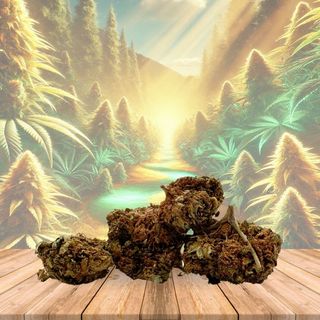Flor de CBD Harlequin, 15 Gramas