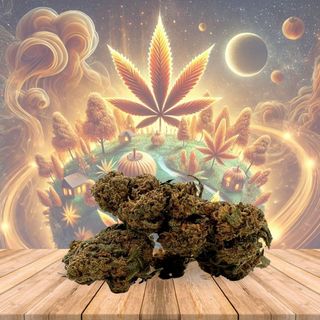 Flor de CBD Caramel Candy Premium, 3g