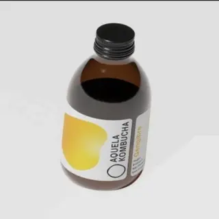 Kombucha Gengibre