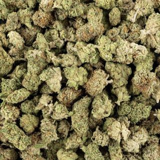 Weed’us Amnesia Small Buds 18% CBD 5g