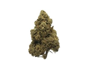 THC-P AMNESIA FLOR 1GR