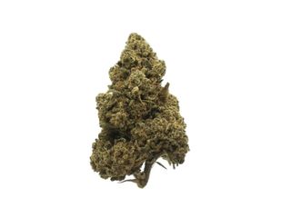 THC-P AMNESIA FLOR 10GR