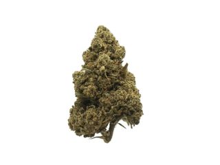 THC-P AMNESIA FLOR 5GR