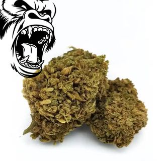 THC-P GORILA FLOR 10GR