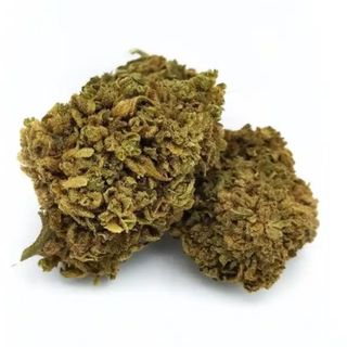 THC-P AMNESIA FLOR 10GR 