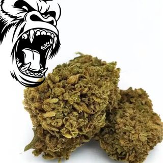 THC-P GORILA FLOR 15GR 