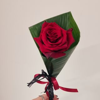 Rose1