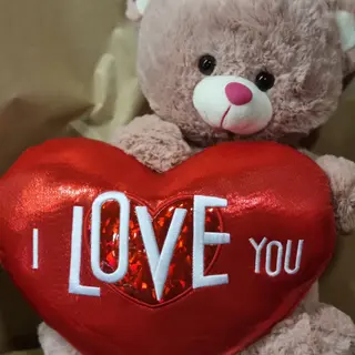 Teddy com coração 40cm