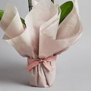 Embalagem personalizada 