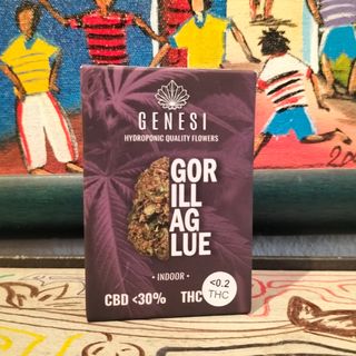 CBD - GORILLA GLUE 1gr