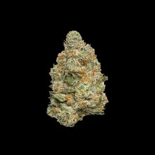 Gorilla Blue TH10 ( Medio / Fresco)