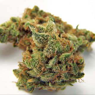 Northern Lights 2g (21% CBD)