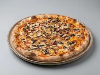 FUNGHI