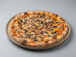 FUNGHI