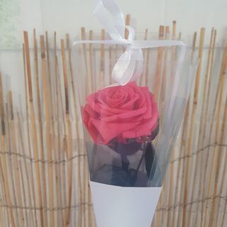 Rosa Preservada Rosa Cerise