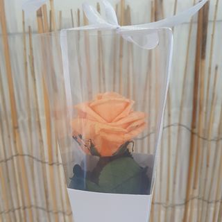 Rosa Preservada Pêssego