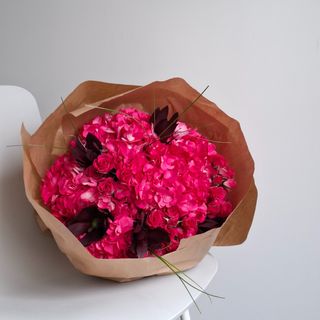 Hortensia Hot Pink