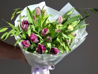 Bouquet Tulips Violet 5
