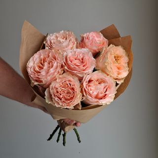Rosas jardim 7