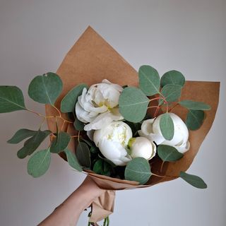 Peony branco