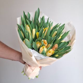 Tulipas 25 Creme
