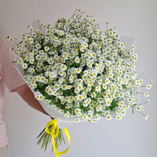 Bouquet Matricaria 5