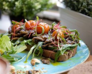 Funghi