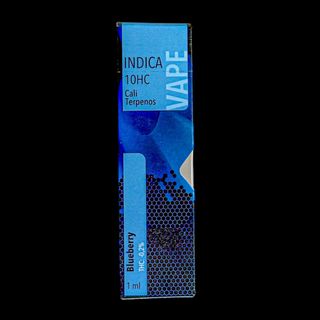 Vaporizador 10HC - BlueBerry