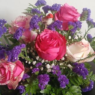 Arranjo com 6 Rosas, Ideal para oferecer carinho