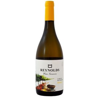 Carlos Reynolds Branco