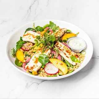 Salada cevada e halloumi