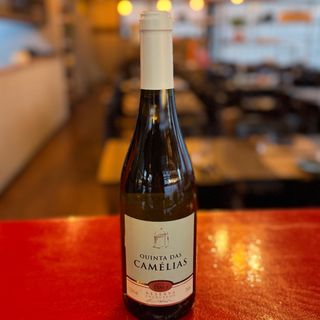 Quinta das Camélias Branco Dão