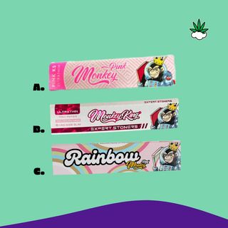 Monkey King Coloridas