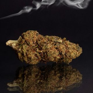 10g de flor de CBD Glasshouse